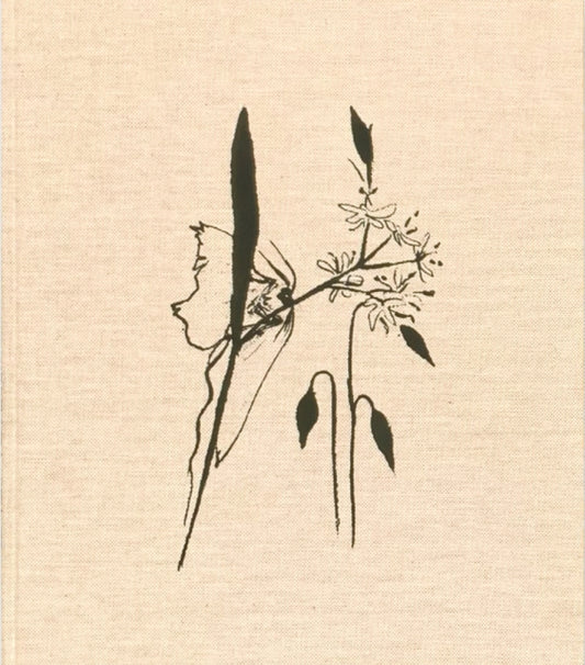 Book cover of: Refuge. By: Gasparotto MANCUSO