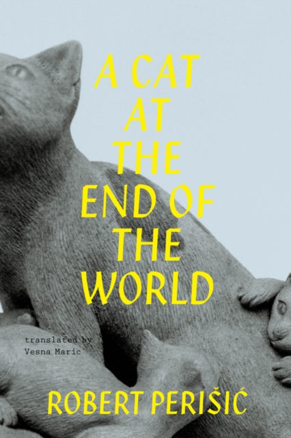 Book cover of: Cat At the End of the World. By: Vesna Maric