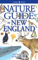 Book cover of: Nature Guide to New England. By: Erin McCloskey