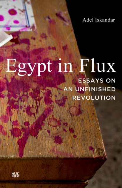 Book cover of: Egypt in Flux