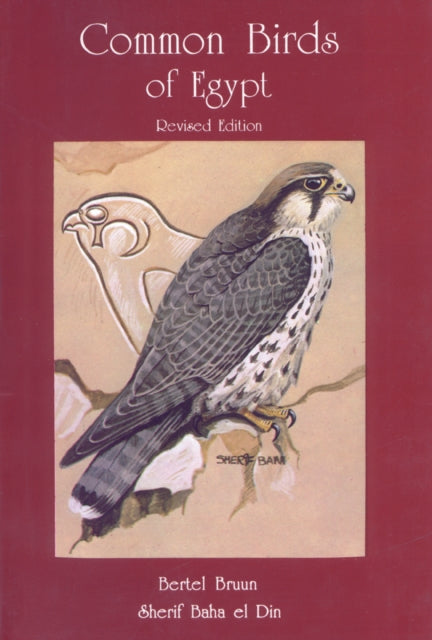 Book cover of: Common Birds of Egypt. By: Bertel Bruun