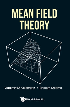 Mean Field Theory