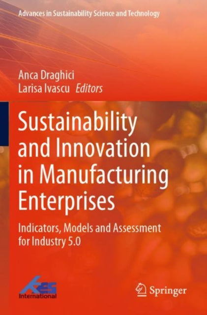 Book cover of: Sustainability and Innovation in Manufacturing Enterprises. By: Anca Draghici