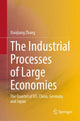 Book cover of: Industrial Processes of Large Economies. By: Xiaojiang Zhang