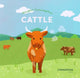 Book cover of: Mindful Consumption: Cattle