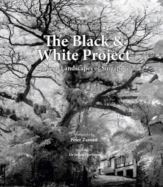 Book cover of: Black & White Project
