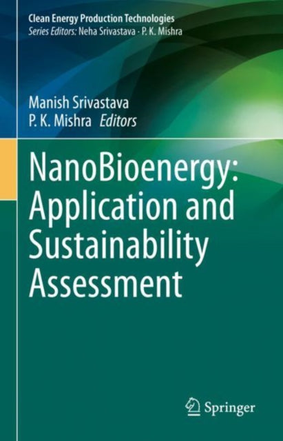 Book cover of: NanoBioenergy: Application and Sustainability Assessment. By: Manish Srivastava