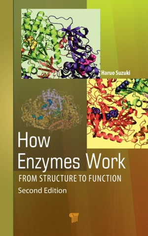 How Enzymes Work