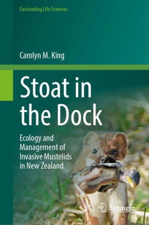 Stoat in the Dock