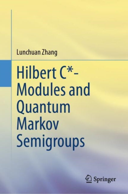 Book cover of: Hilbert C*- Modules and Quantum Markov Semigroups