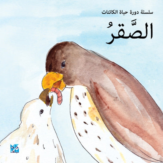 Book cover of: Falcon