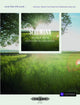 Book cover of: more than the score...Schumann: Reverie from Scenes from Childhood