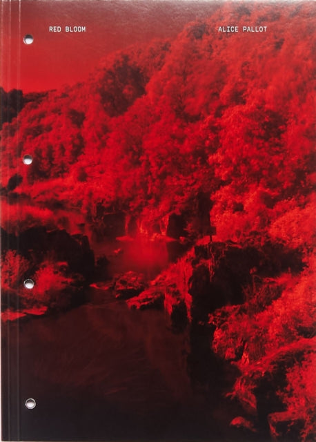 Red Bloom