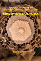 Book cover of: Criacao racional de abelhas nativas sem ferrao. By: Rubie Giordani