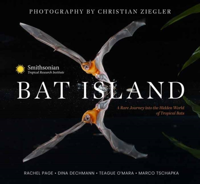 Book cover of: Bat Island. By: Christian Ziegler