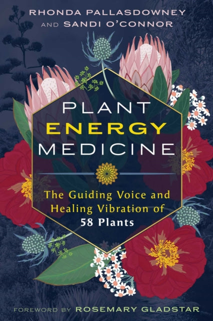 Book cover of: Plant Energy Medicine