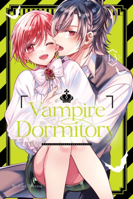 Book cover of: Vampire Dormitory 13. By: Ema Toyama