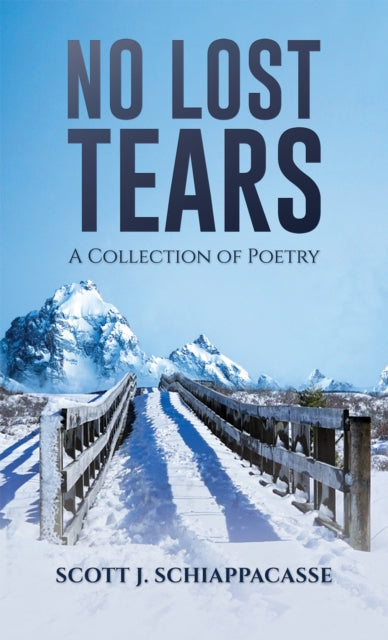 Book cover of: No Lost Tears