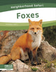Book cover of: Foxes. By: Dalton Rains