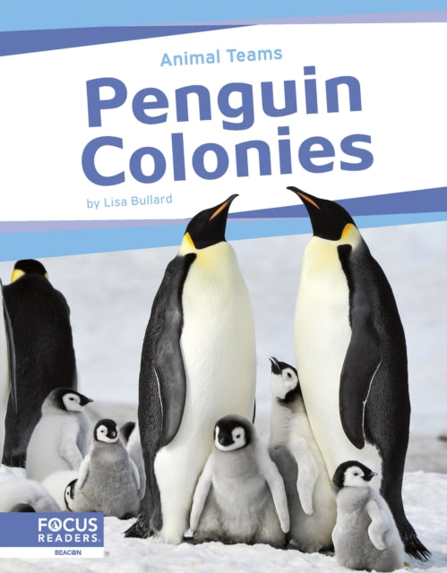 Book cover of: Penguin Colonies. By: Lisa Bullard