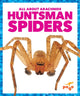 Book cover of: Huntsman Spiders. By: Chanez