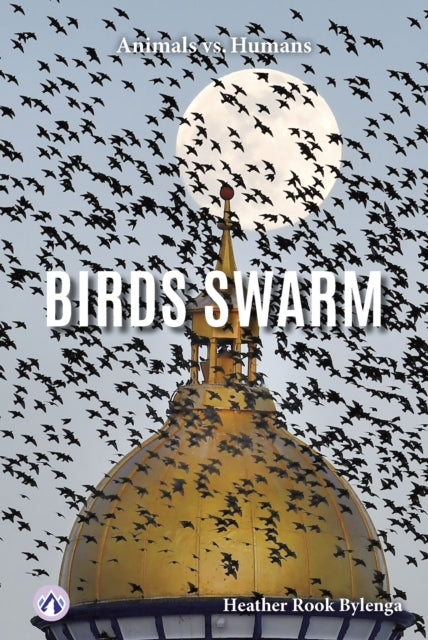 Book cover of: Birds Swarm. By: Heather Rook Bylenga
