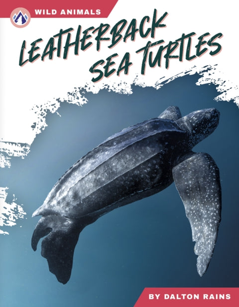 Leatherback Sea Turtles