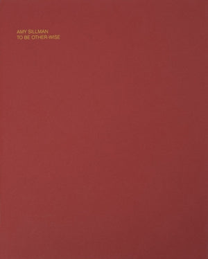 Amy Sillman: To Be Other-Wise