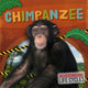 Book cover of: Chimpanzee. By: E. C. Andrews