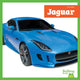 Book cover of: Jaguar. By: Mari C. Schuh